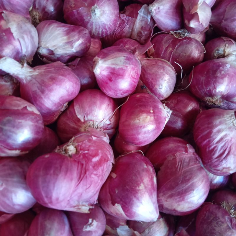 

Bawang merah kualitas 1kg