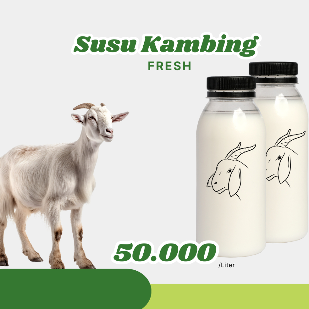 

Susu kambing fresh