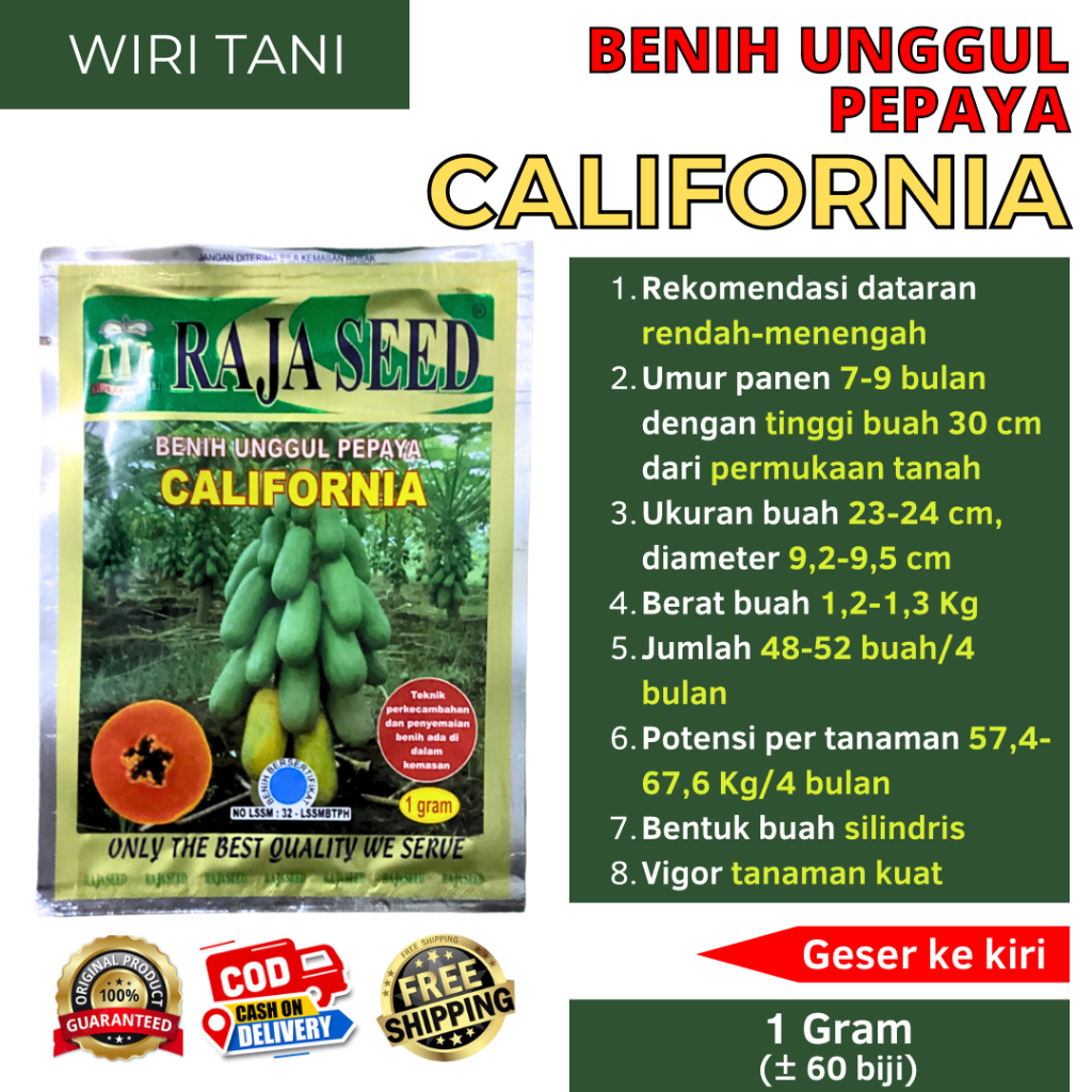 (BELI 5 LEBIH HEMAT) Benih Pepaya Unggul California 1 Gram (+-60 biji) Raja Seed | buah lonjong sera