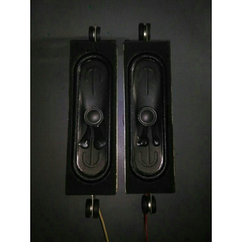 Speaker Panasonic TH-40C303G satu pasang