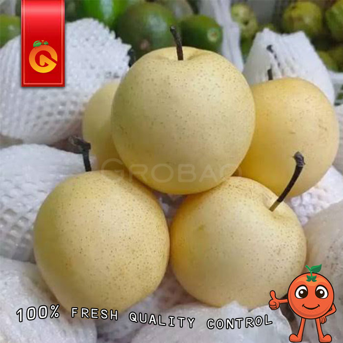 

BUAH PEAR CENTURY FRESH 1 KG