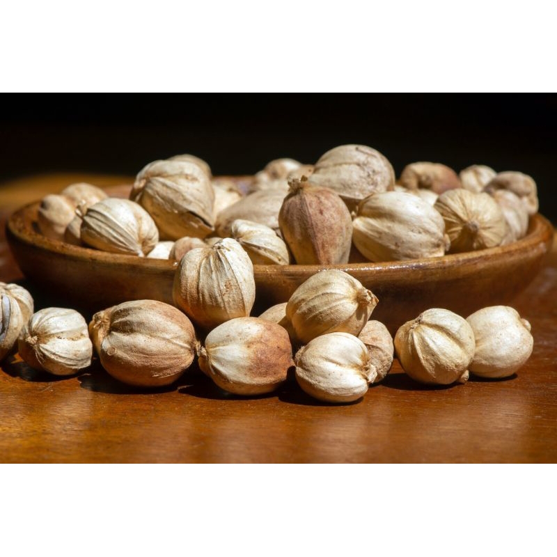 

Kapulaga Lokal 100gr