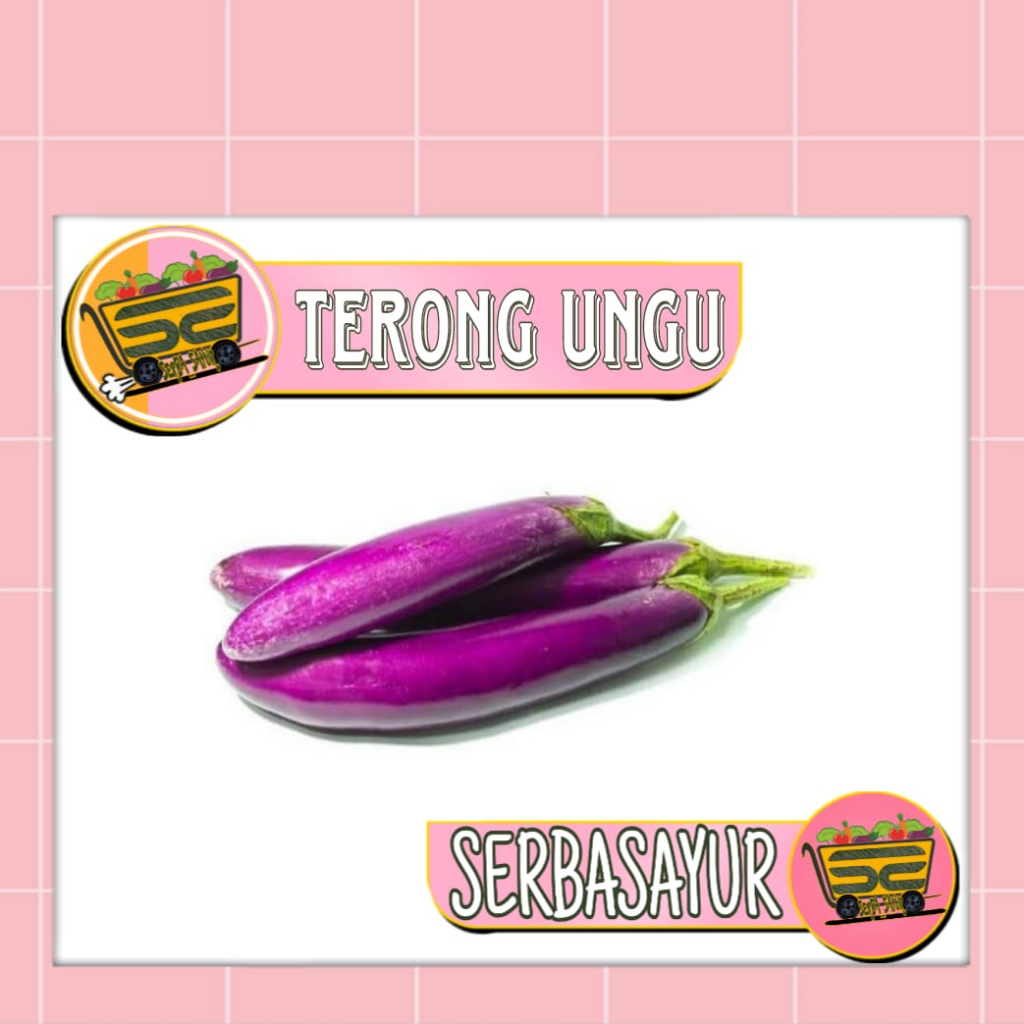 

terong panjang ungu - kemasan pack grosir - serbasayur