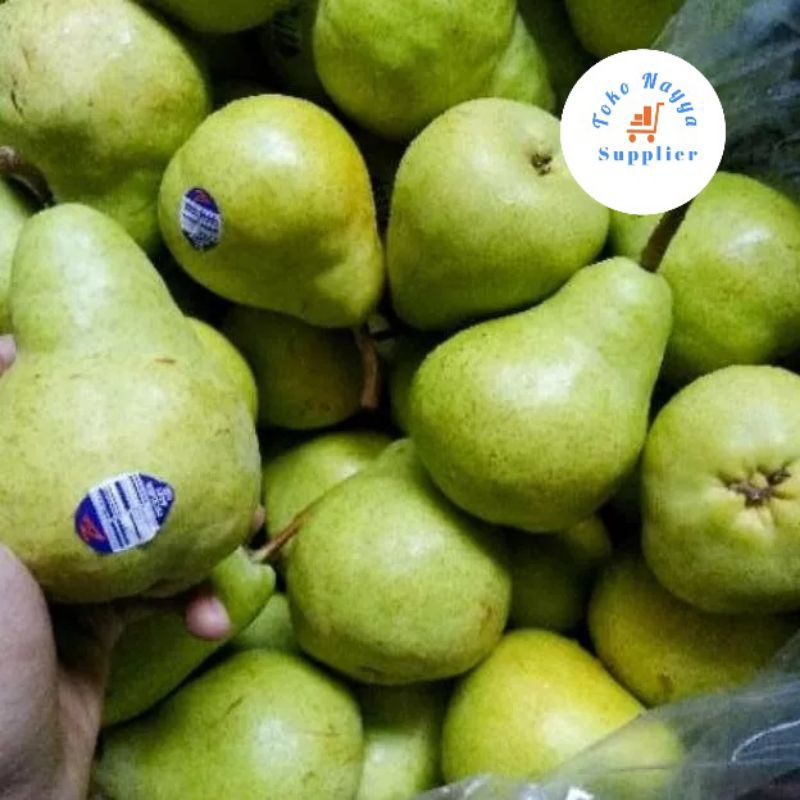 

Buah Pear Packham Import USA | Pir Pakam Hijau / Pir Jambu Manis