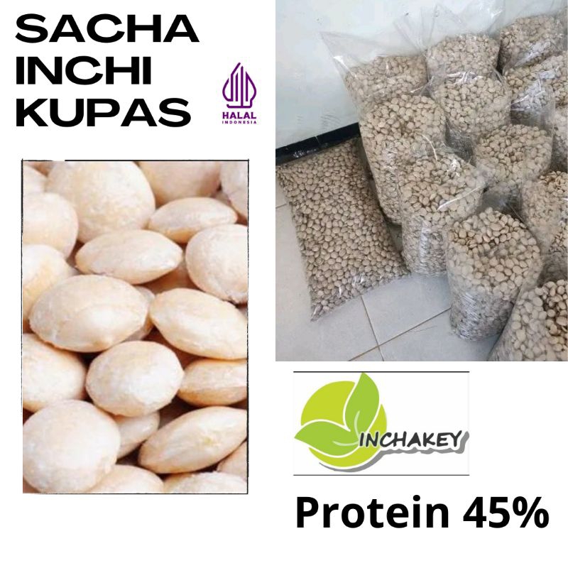 

Sacha Inchi kupas kacang protein tinggi kacang omega 3 6 9