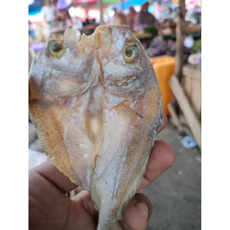 

ikan kering bulama