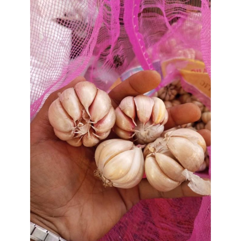 

bawang putih 1/2kg free kopi