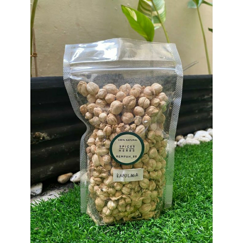 

Kapulaga Lokal Kering / Kapulaga Jawa Kering 25 Gram, 50 Gram & 100 Gram