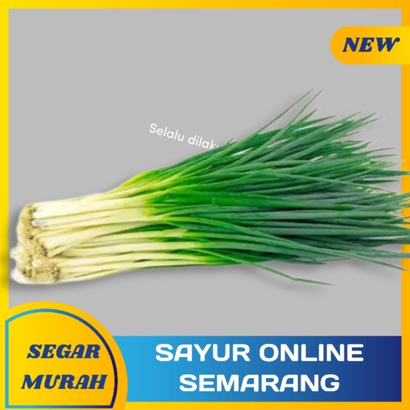 

Daun Bawang / onclang / Seledri per 100gr