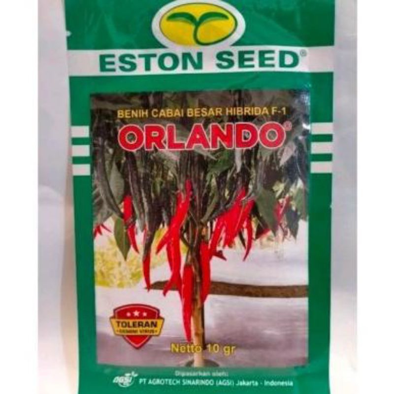 Benih Cabai Besar Orlando Hibrida F1 Kemasan 10gr