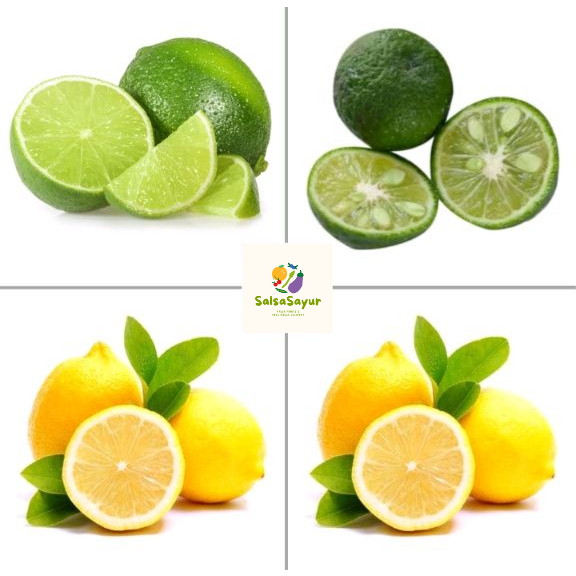 

Jeruk Nipis / Jeruk Limo / Jeruk Lemon Kecil / Jeruk Lemon Besar