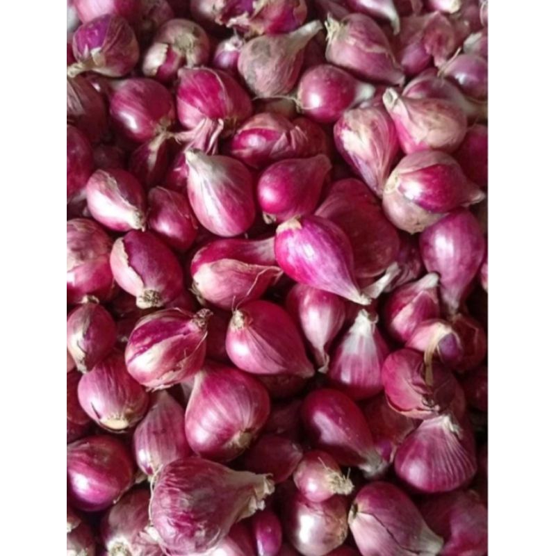 

Bawang Merah Lokal besar kering 1kg