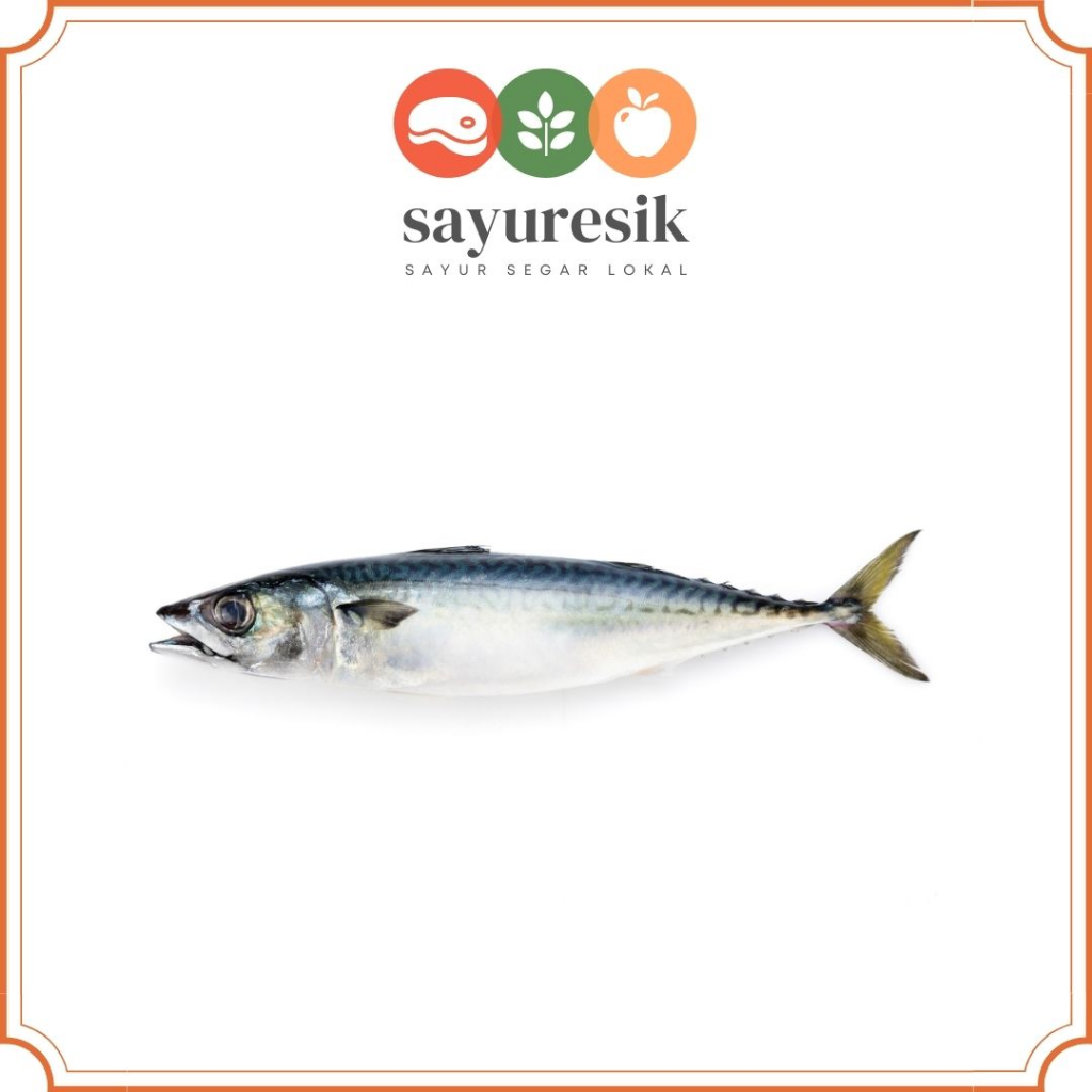 

[Pasar Kota Gresik] Ikan kembung