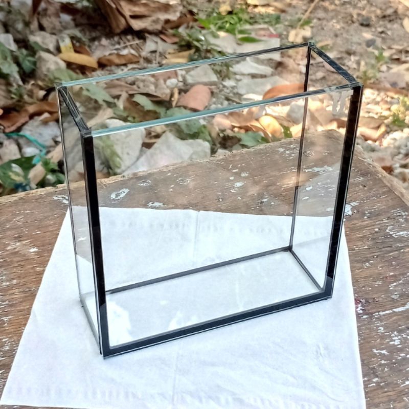 Soliter Selfie Optic Clear (Black)