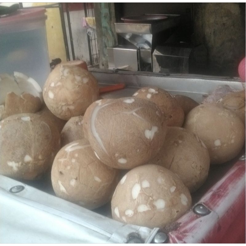 

Kelapa Parut Fresh Khusus Gojek/Grab