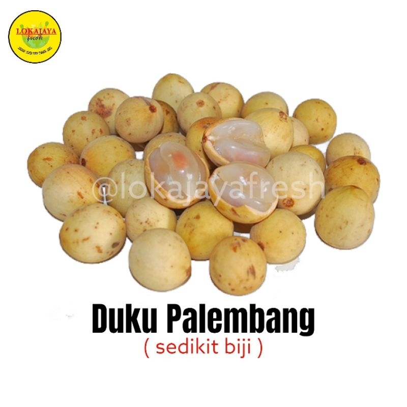 

Duku Palembang Komering Manis 1 Kg