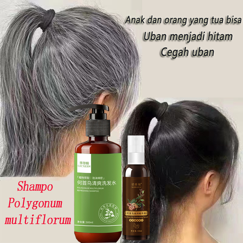 （Barang asli）sampo penghitam rambut uban - shampo uban - shampoo 500ml menghilangkan uban mencegah r