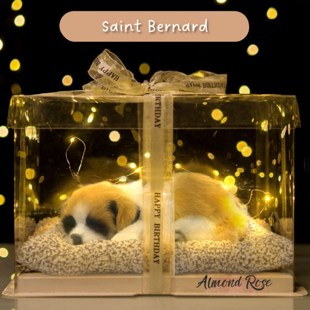 SAINT BERNARD - Hampers Boneka Tidur kado cewe kado pacar hadiah kado boneka kucing kucing arang bam