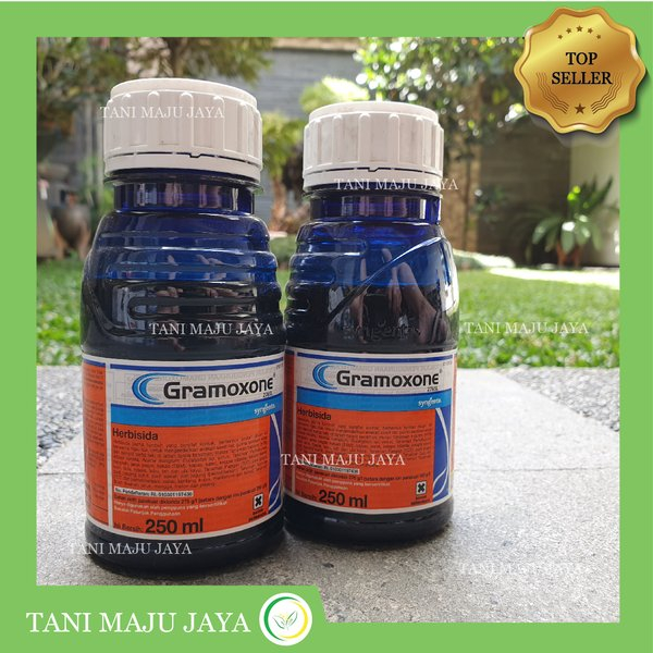 Herbisida Gramoxone 276SL 250 ml Obat Pembasmi Rumput Liar Kontak Syngenta Germason Gramason