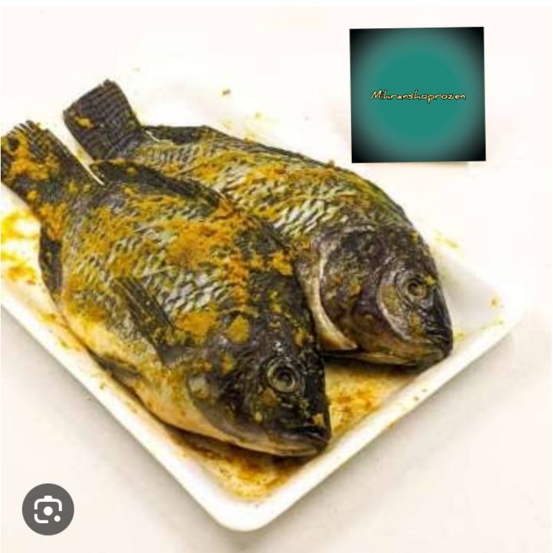 

ikan mas bumbu kuning frozen siap goreng 10 ekor