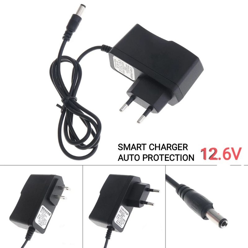 Charger Lithium ion 12,6 volt smart charger Protection
