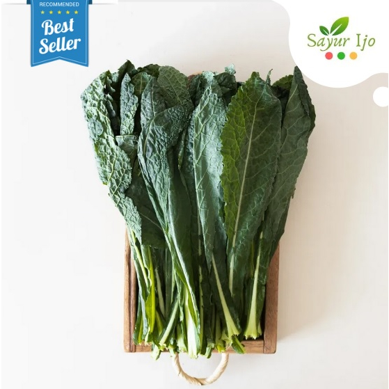 

Kale Nero Organik 200 Gram / Pack Fresh Borecole Organic Sayur Hijau Segar