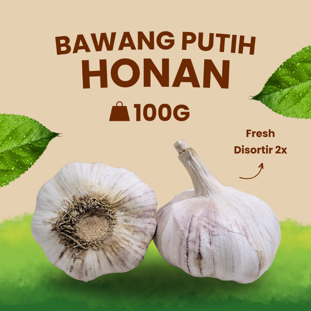

Bawang Putih Banci Honan 100 G Premium (tidak ada yang busuk)