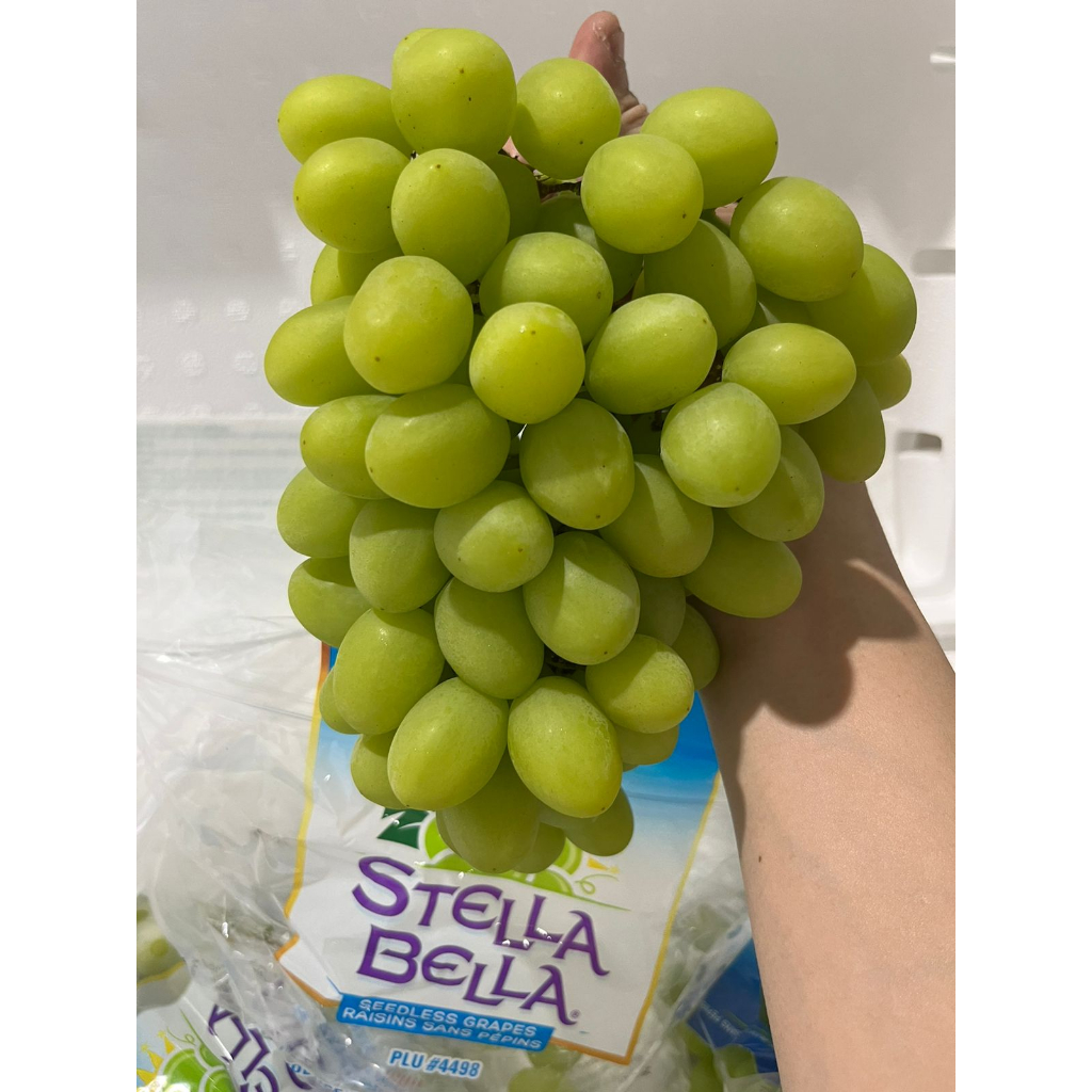 

Anggur Hijau Stella Bella Green Seedless Grapes USA 500 gr