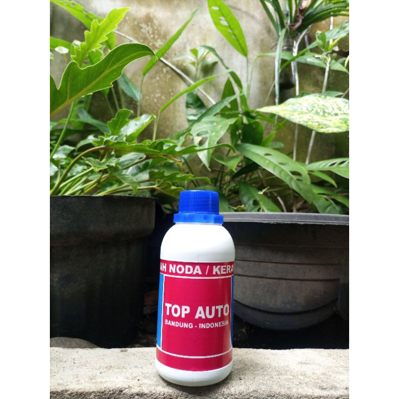 Top Auto  / Pembersih