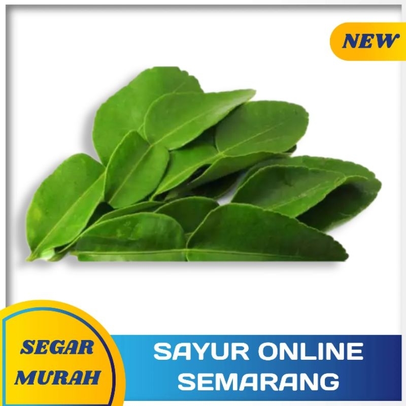 

Daun Jeruk