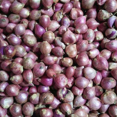 

BAWANG MERAH KURANG LEBIH 300 GRAM