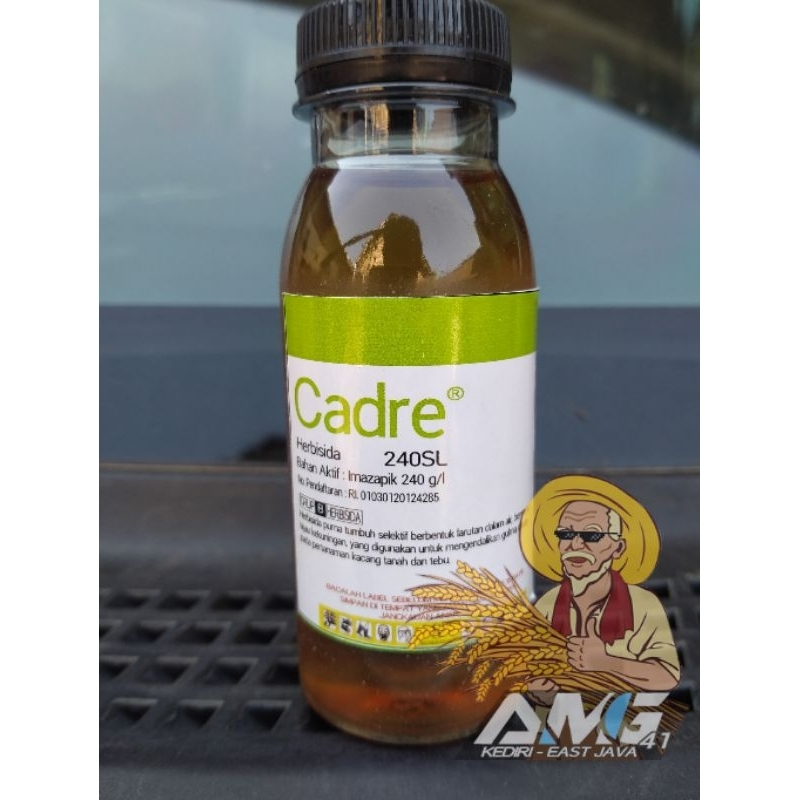 Cadre 240 SL Herbisida selektif tanaman kacang & tebu 100ml