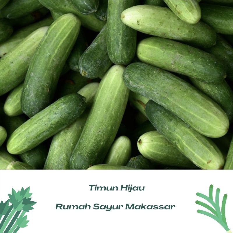 

timun hijau / perbiji