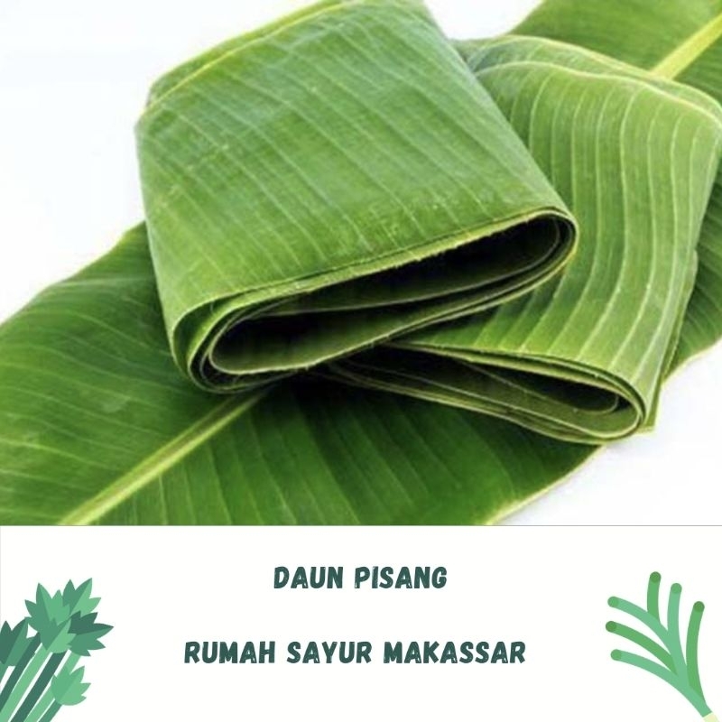 

daun pisang