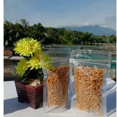 

Lempuk crispy 100gr Khas danau Ranu grati