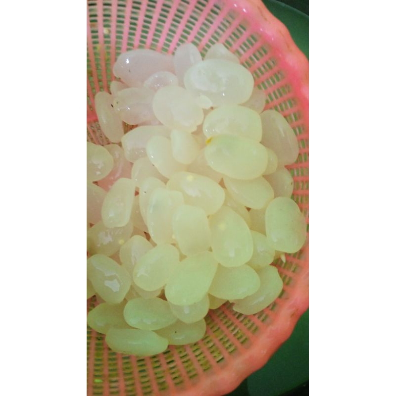 

Grosir Kolang-kaling