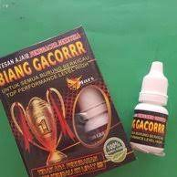 biang gacor