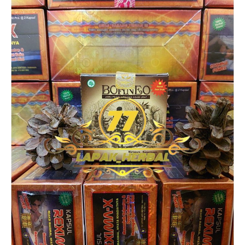 

kapsul ramuan asam urat borneo original