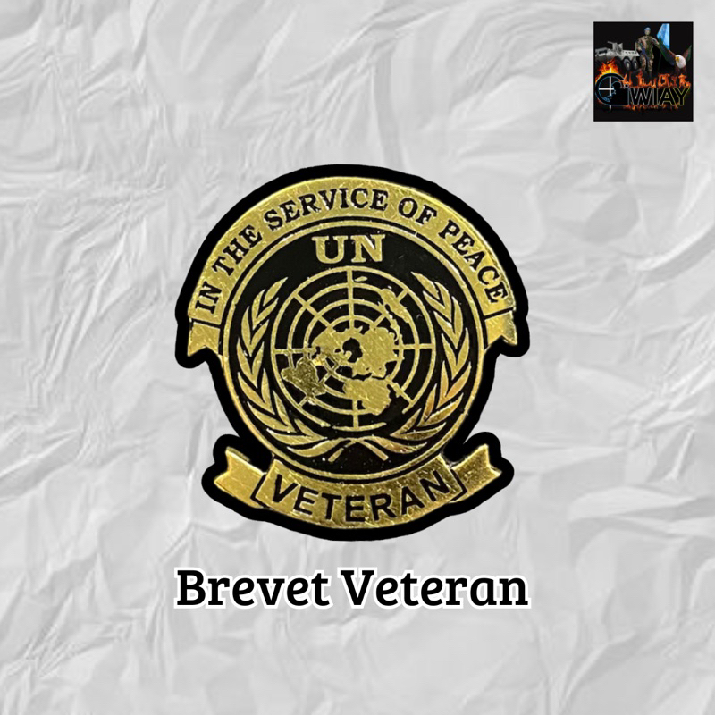 Pin / Bros / Wing / Brevet Veteran TNI/POLRI
