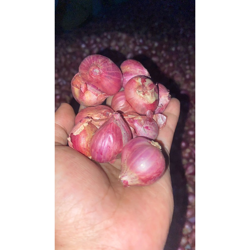 

BAWANG MERAH 1 KG