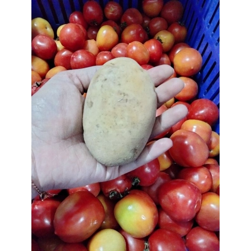 

Kentang Dieng ukuran sedang