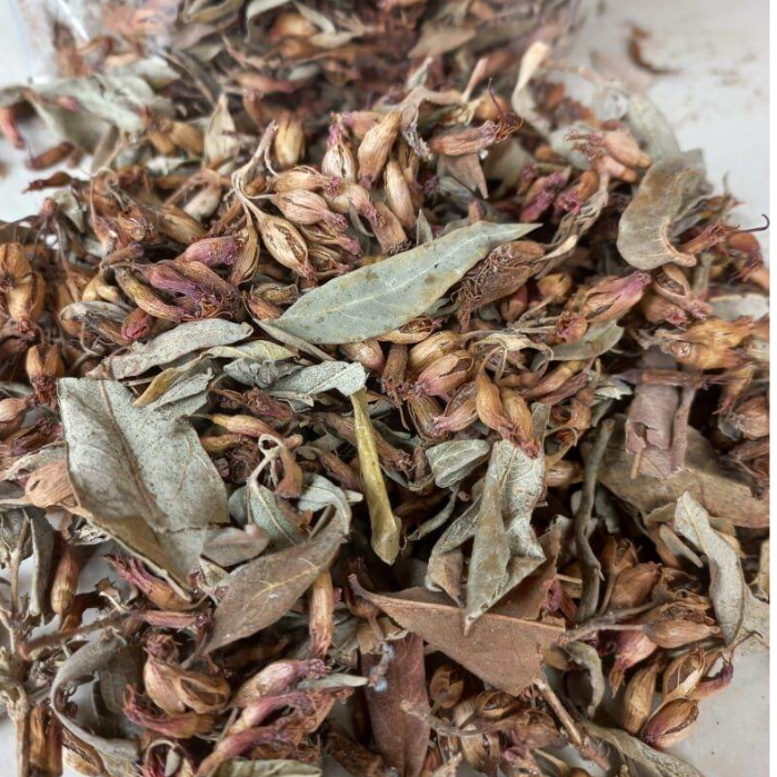 

BUNGA HERBAL SIDOWAYAH/WOODFORDIA FLORIBUNDA KERING TERMURAH -250 GRAM