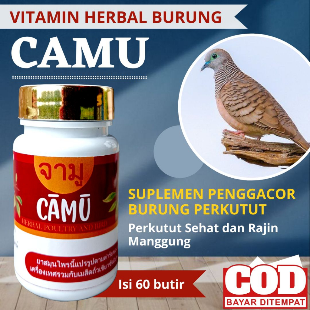 Camu Pil Perkutut Gacor Rajin Manggung Jamu Perkutut / Pil Ajaib / Bangkok / Katurangan / Lokal Isi 