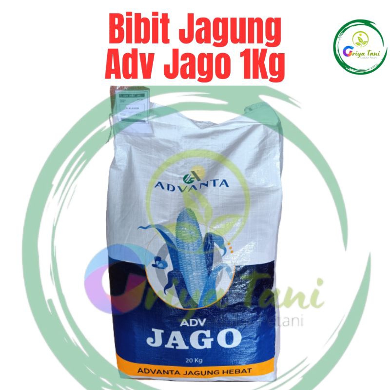 Advanta - Benih Jagung Adv Jago (1Kg) Original Pac 789 Advanta Jago