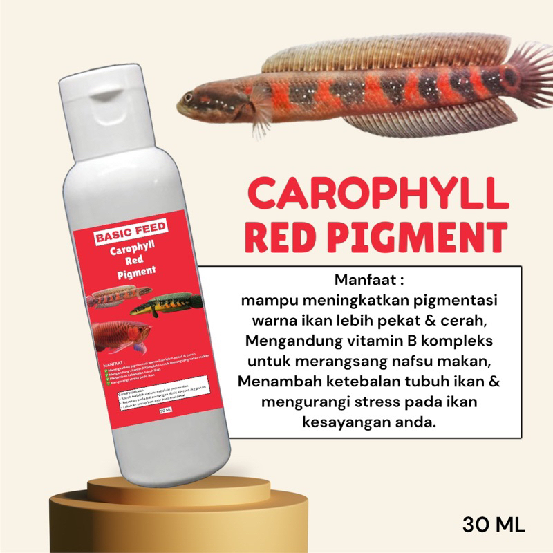 carophyll red pigment 30ml progres mutasi warna ikan channa red sampit red barito BASIC FEED caropil
