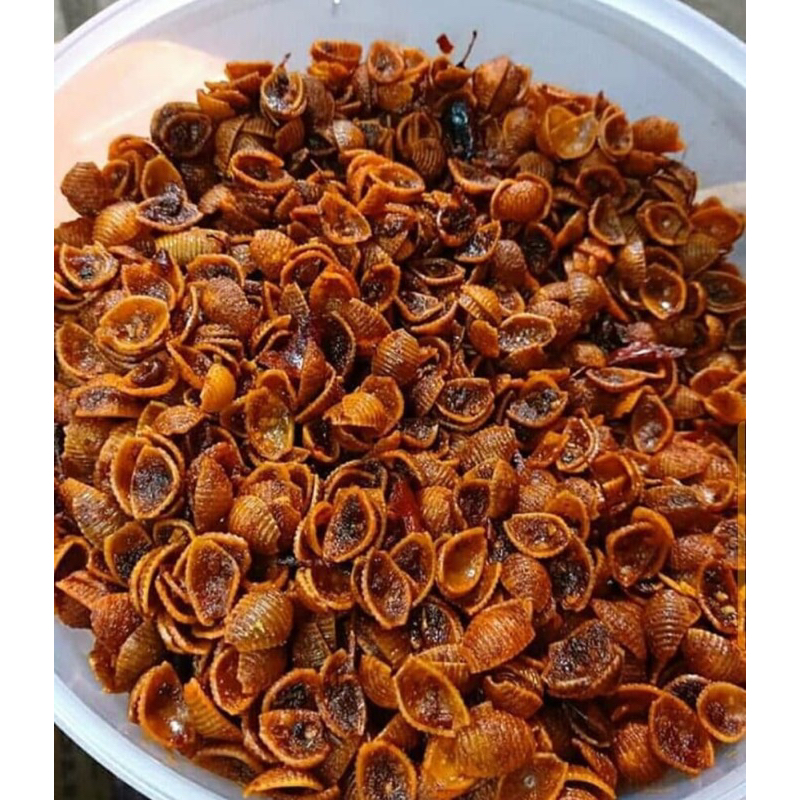 

kerang precet