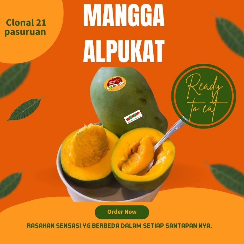 

mangga alpukat|mangga harumanis|buah mangga|full manis|nuri fruits|buah segar bandung|buah segar