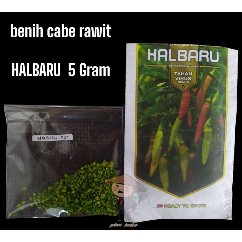 benih cabe rawit HALBARU kemasan REPACK 5 gram / 1000 biji