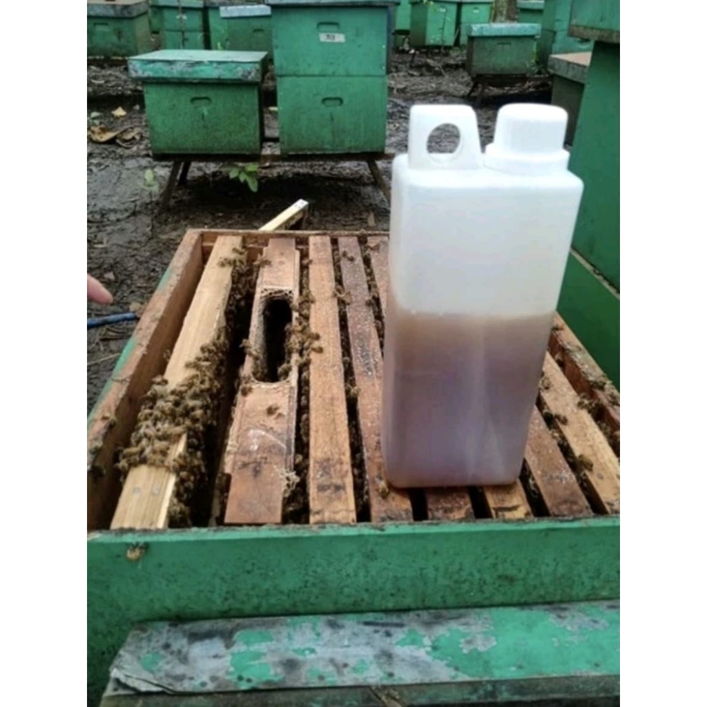 

Madu / Madu Asli Murni Original Botol 1000 gr / madu multifora 1kg