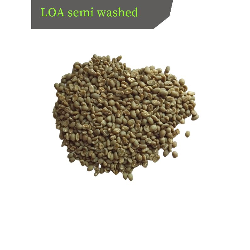 

gren beans arabica semi washed